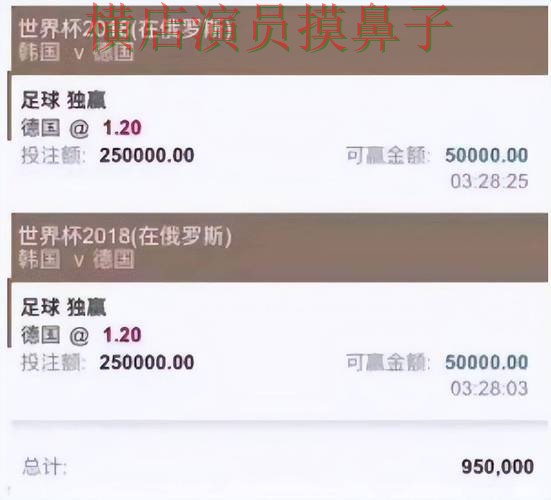 新手必看：世界杯投注平台推荐官网直达详解 + 世界杯赛事中心