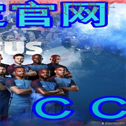 世界杯买球网站解析报告：数据分析与实际体验总结 - 世界杯数据